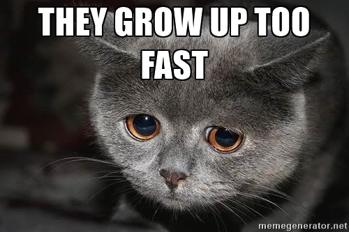 growuptoofast